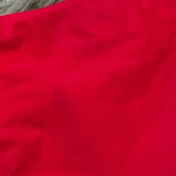 NWT dippin daisy’s bikini size large - Picture 4 of 5